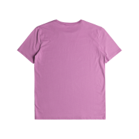 QUIKSILVER T-Shirt Mwminilogo violet